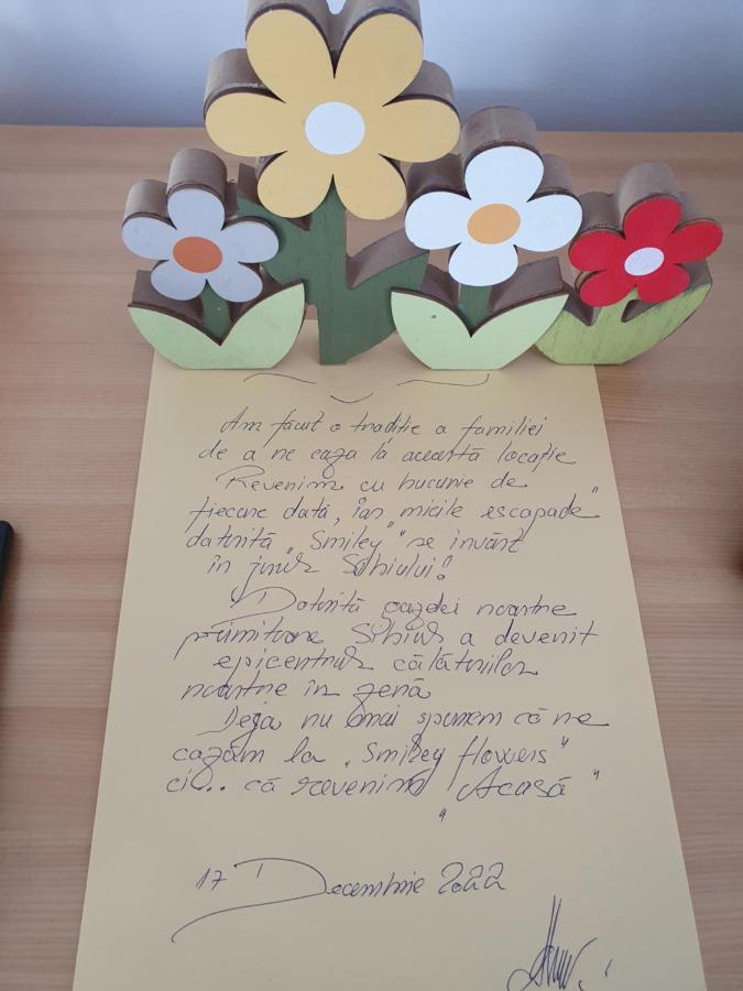 Smiley Flowers Сибиу Экстерьер фото